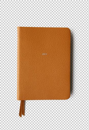 Background Removal Sample